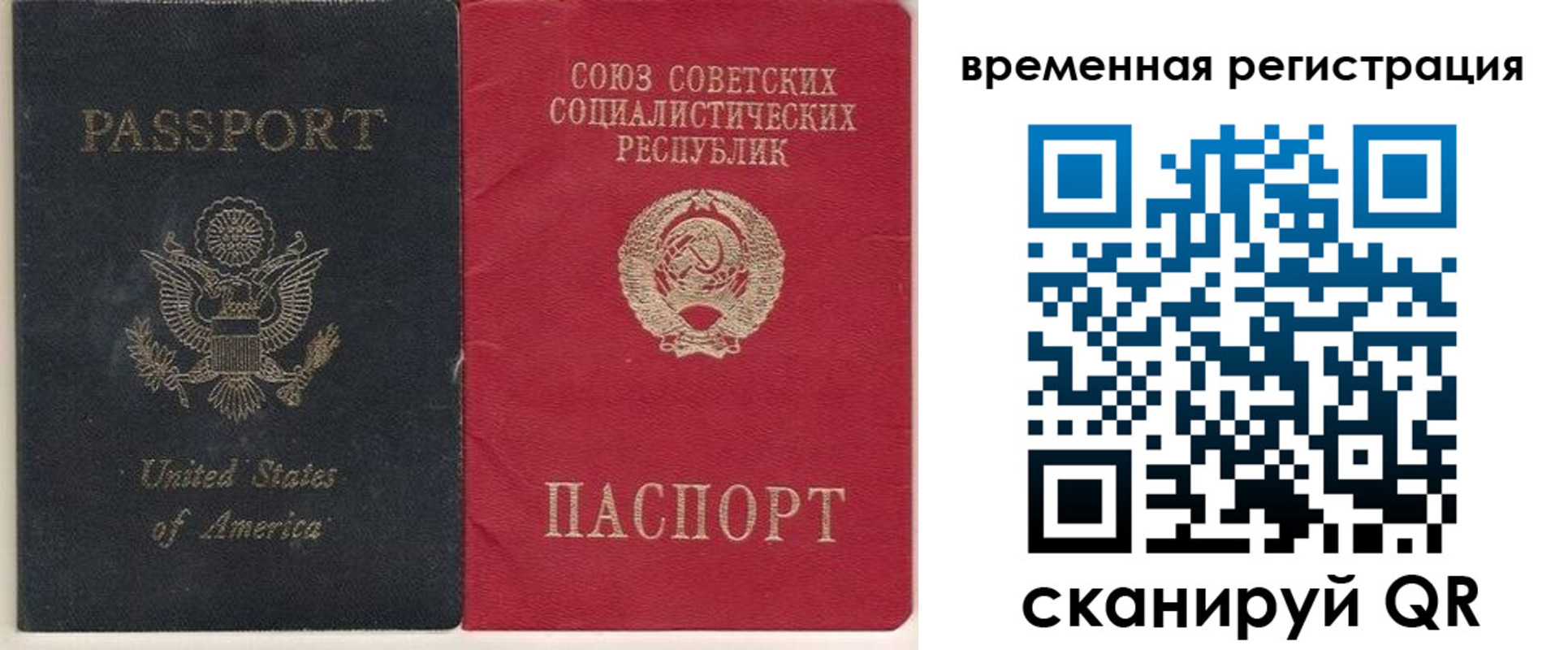 прописка законно в Ясном